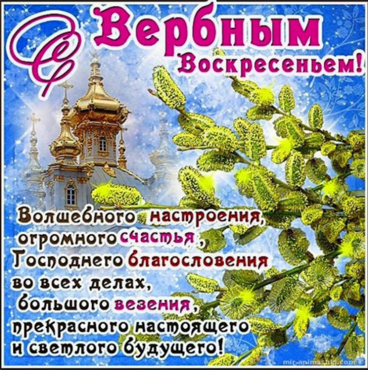 Открытка с Вербным Воскресеньем на белорусском языке