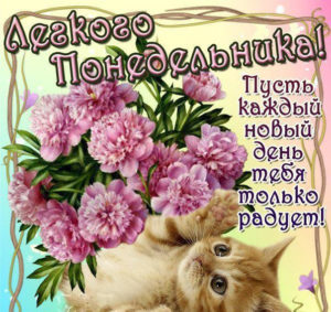 Понедельник день, чтобы расцветать как цветок