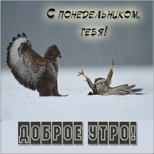 Понедельник день, чтобы строить мосты к своим мечтам