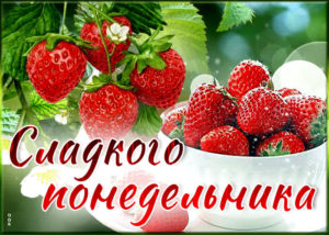 Понедельник это день, чтобы воплощать свои идеи в жизнь