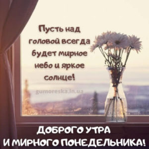 Понедельник это момент, чтобы освежить свой взгляд на мир