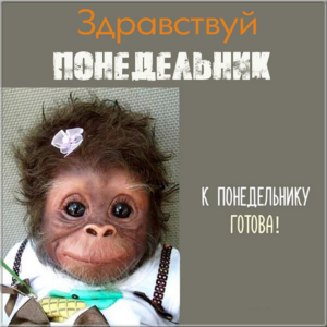 Понедельник это момент, чтобы погрузиться в мир искусства