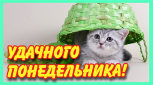 Понедельник это момент, чтобы творить свои собственные истории