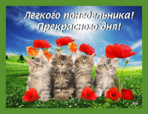 Понедельник это момент, чтобы верить в свои возможности