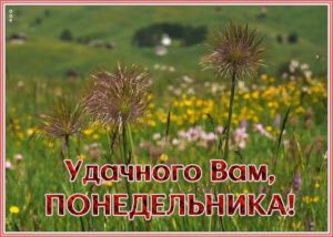Понедельник это возможность начать заново