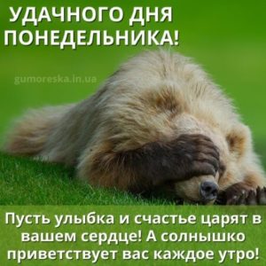 Понедельник отличный повод начать заново