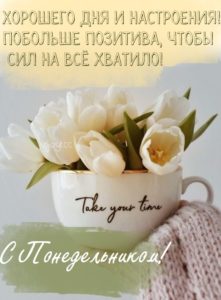 Пусть энергия понедельника сопровождает тебя