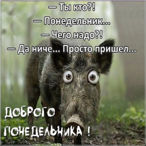 Пусть этот день будет началом новой эпохи в твоей жизни