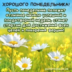 Пусть этот день принесет тебе радость и радикальные решения