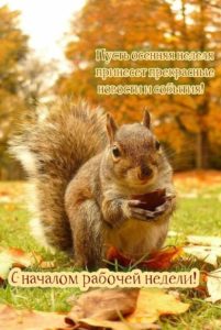 Пусть этот день принесет твоей жизни новые яркие краски!