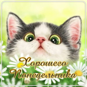 Пусть этот день станет началом нового этапа в твоей жизни