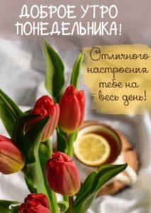 Пусть этот день станет твоей страницей в истории успеха