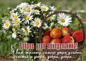 Пусть этот понедельник озарит твой путь к светлому будущему