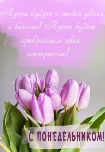 Пусть этот понедельник озарит твой путь к успеху и процветанию