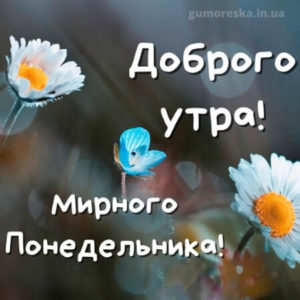 Пусть этот понедельник станет началом твоего искусства