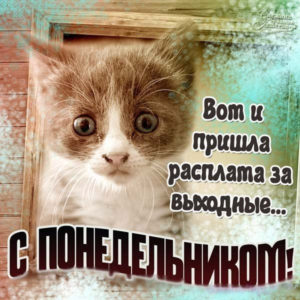 Пусть этот понедельник станет началом твоего лучшего творчества