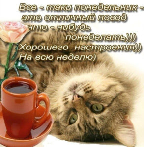Пусть этот понедельник станет отправной точкой к новым вершинам