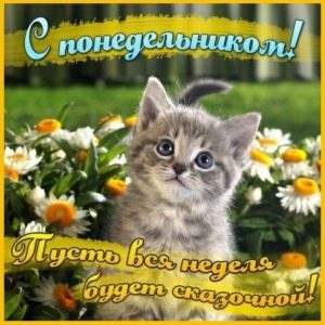 Пусть понедельник будет твоим собственным днем творчества