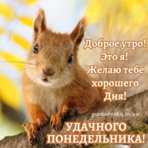 Пусть понедельник озарит твои дни бескрайним вдохновением