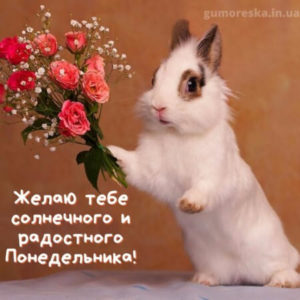 Пусть понедельник озарит твой день бескрайней мечтой