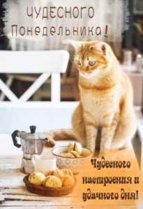 Пусть понедельник озарит твой день яркими идеями и решениями
