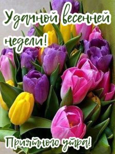 Пусть понедельник подарит тебе смелость быть самим собой