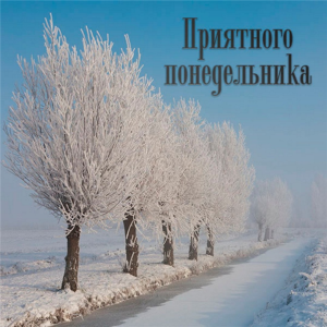 Пусть понедельник подарит тебе уникальные идеи и решения