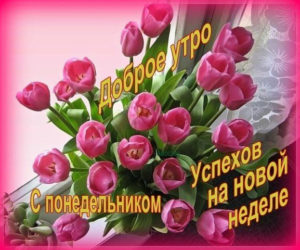Пусть понедельник принесет тебе яркое начало