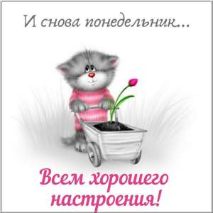 Пусть понедельник принесет твоим мечтам крылья