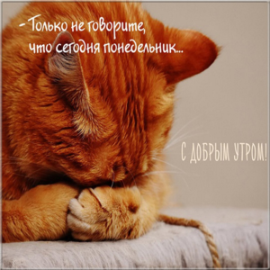 Пусть понедельник станет твоим творческим днем