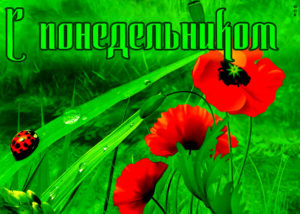 Пусть понедельник станет твоим вдохновением