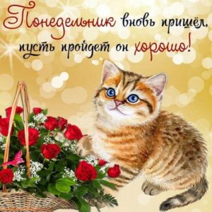 С новой неделькой!