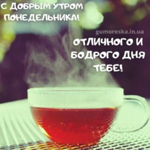 С понедельником, дружище!