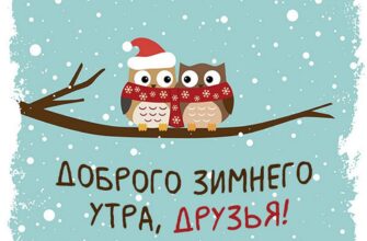 Зимняя открытка с веселым утром понедельника с парой милых сов в шапках Санта Клауса, которые делятся праздничной радостью и дружбой