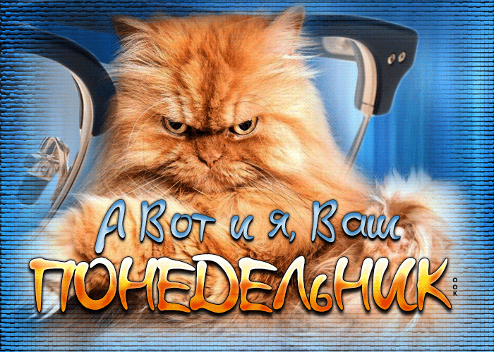Анимационный открытка с раздраженным котом и надписью А вот и я, ваш понедельник