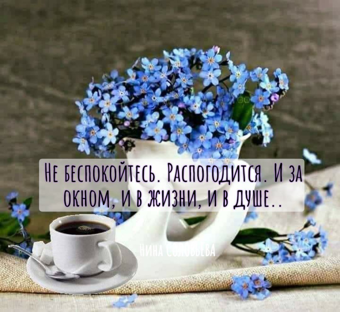 Чашка кофе с синими цветами на столе и русский текст Не беспокойтесь. Распологайтесь. И за окном, и в жизни, и в душе..