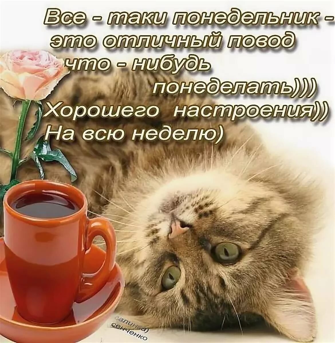 Кот лежит на спине рядом с кружкой чая и розой, с текстом пожелания хорошего настроения на всю неделю.