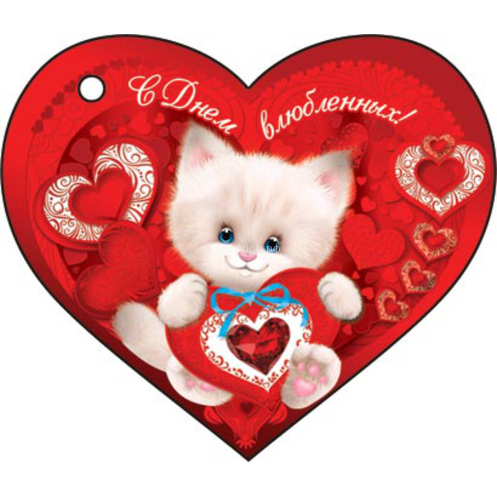 Котенок с голубыми глазами держит сердце, на фоне красного сердца с надписью С Днем влюбленных!