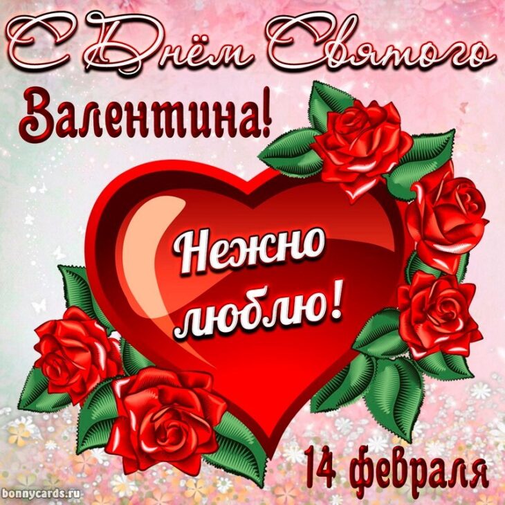 Открытка ко Дню Святого Валентина с красными розами, большим сердцем и надписью Нежно люблю! на русском языке, внизу указана дата 14 февраля.