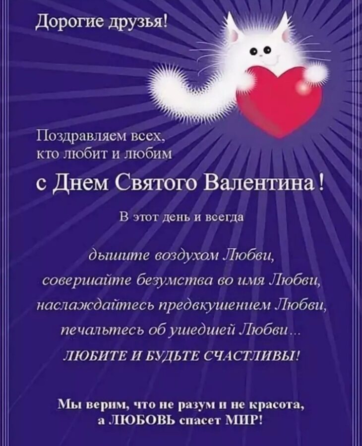 Открытка коллегам на 14 февраля с милым котенком и сердцем, поздравительная карточка с Днем Святого Валентина для сотрудников, картинка валентинка для коллеги с пожеланиями любви и счастья.