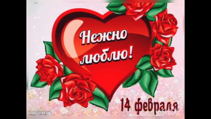 Открытка с красным сердцем и надписью Нежно люблю! в окружении красных роз к 14 февраля, День святого Валентина.