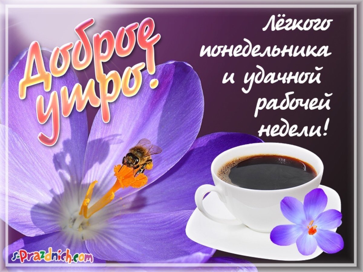 Открытка с надписью Доброе утро! и пожеланиями легкой понедельника и удачной рабочей недели, изображением чашки кофе и цветком с пчелой.