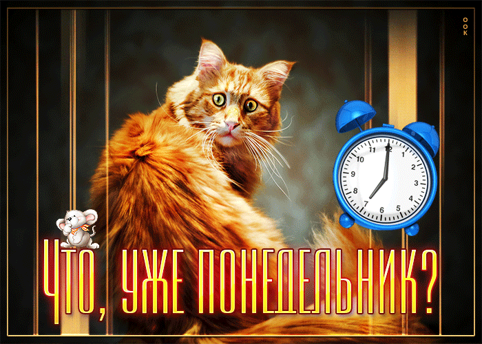 Рыжий кот с удивленным выражением рядом с будильником и текстом Что, уже понедельник?
