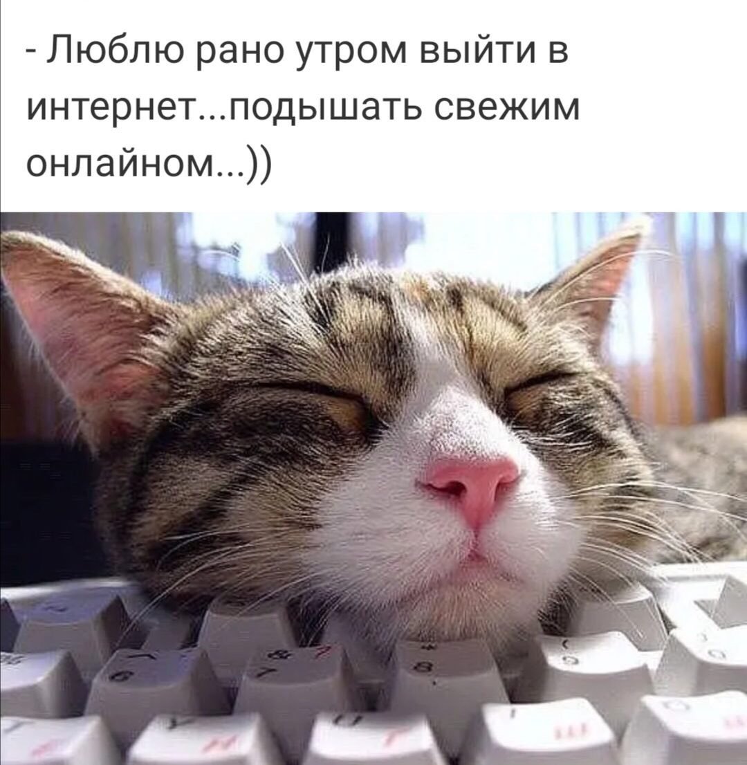 Удовлетворённый кот лежит на клавиатуре с закрытыми глазами.