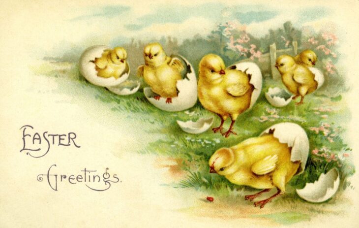 Пасхальная открытка с цыплятами и яйцами