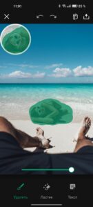 beach relaxation dog plastic overlay edit interface