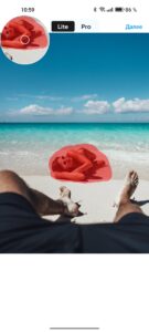 beach relaxation pov dog summervibes