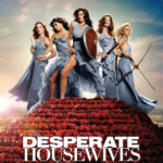 housewives warriors poster