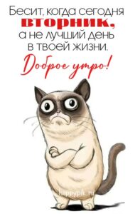 Бесит, когда сегодня вторник
