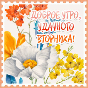 Доброе утро! Удачного вторника